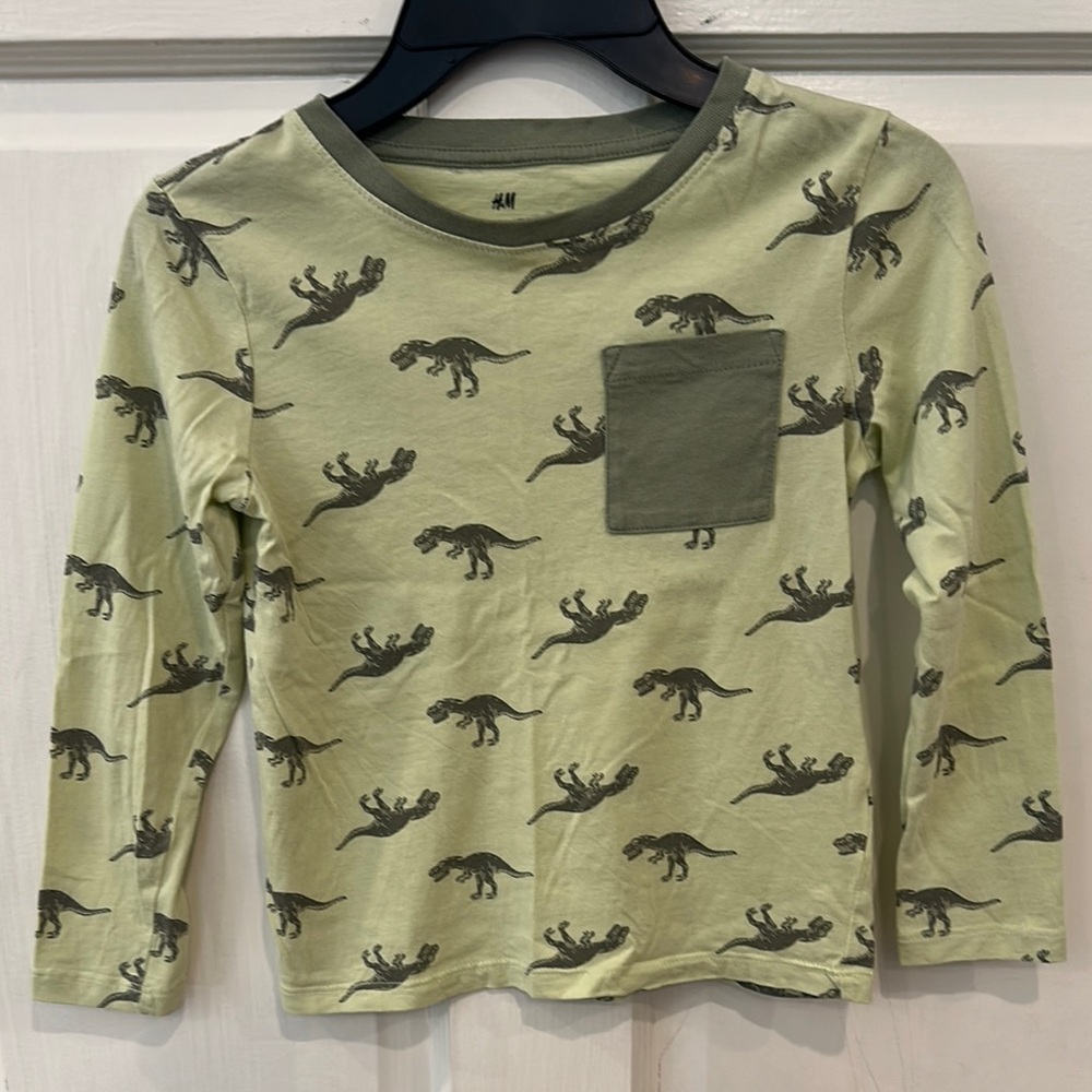 H&M Boys Dinosaur Long Sleeve Shirt Size 4/5